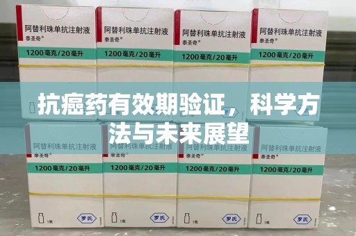 台州抗癌药有效期验证，科学方法与未来展望
