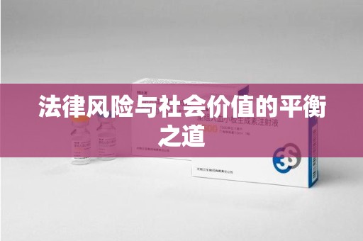六安法律风险与社会价值的平衡之道