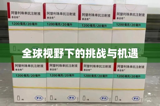 汕头全球视野下的挑战与机遇