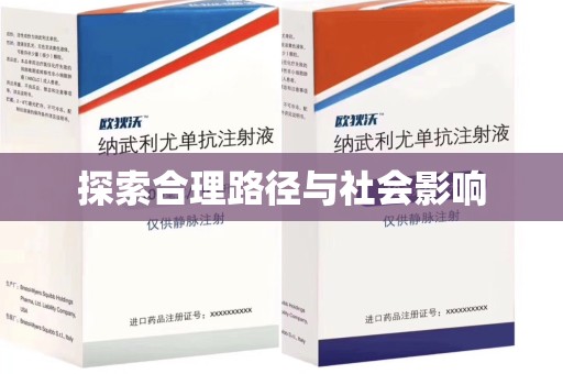 中山探索合理路径与社会影响