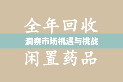 南宁洞察市场机遇与挑战
