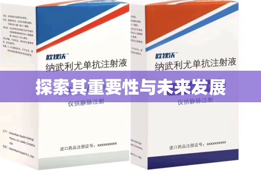 肇庆探索其重要性与未来发展