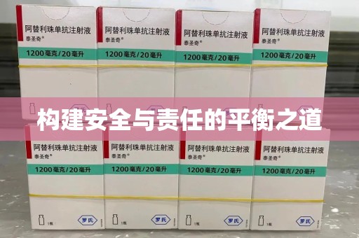 襄阳构建安全与责任的平衡之道