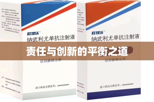 北京责任与创新的平衡之道