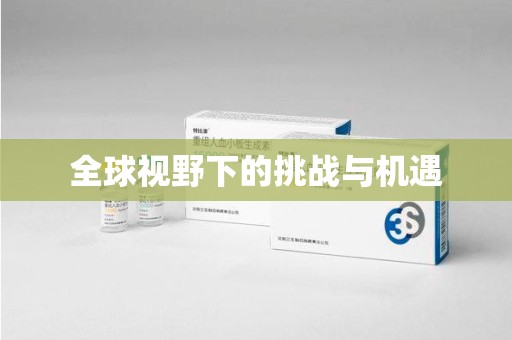 杭州全球视野下的挑战与机遇