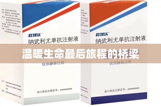 商丘温暖生命最后旅程的桥梁